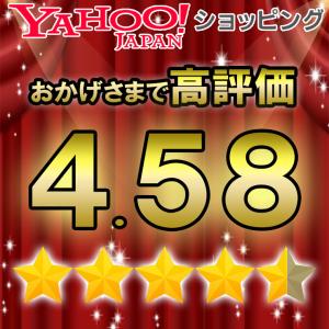 日曜限定値引 腰痛ベルト コルセット 腰痛サポ...の詳細画像1