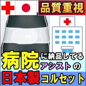 送料無料】モリタホールディングス 腰部サポートウェア ラクニエ