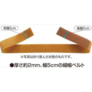 土日祝も当日発送 骨盤ベルト コルセット 腰痛...の詳細画像5