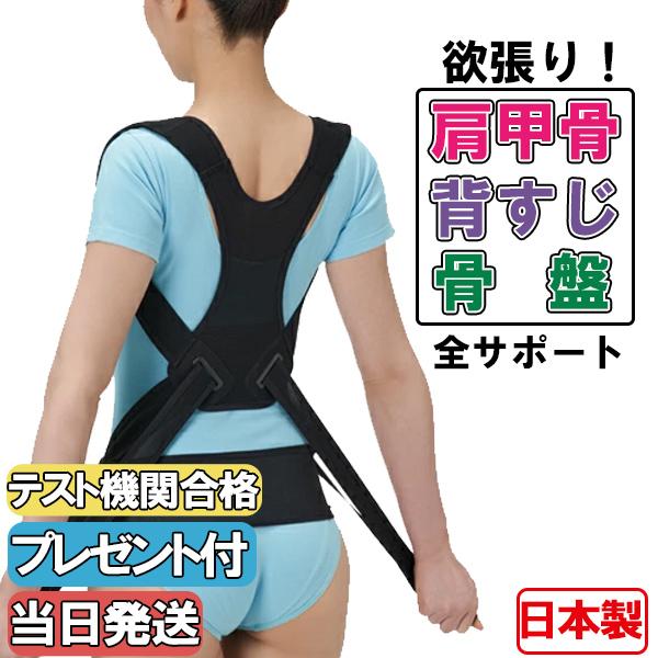 猫背矯正ベルト 姿勢矯正ベルト 日本製 国産 骨盤ベルト コルセット 男女兼用 サポーター 姿勢サポ...