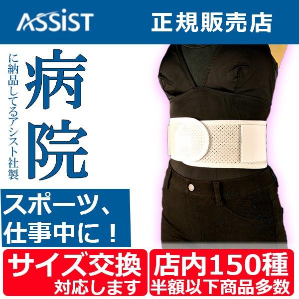 腰痛ベルト コルセット 腰痛サポートベルト サポーター ツインベルト オフ 骨盤ベルト アシスト 小...
