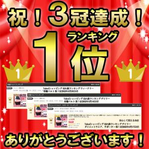 今日も当日発送 骨盤ベルト 腰痛ベルト 57%...の詳細画像4