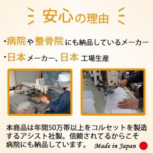 日曜限定値引 骨盤ベルト コルセット 腰痛サポ...の詳細画像2