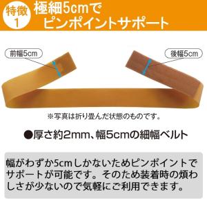 日曜限定値引 骨盤ベルト コルセット 腰痛サポ...の詳細画像3