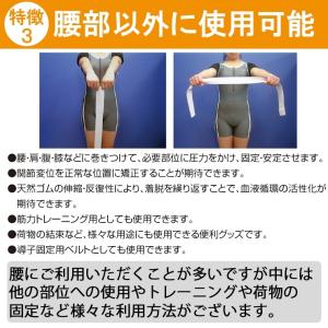 日曜限定値引 骨盤ベルト コルセット 腰痛サポ...の詳細画像5
