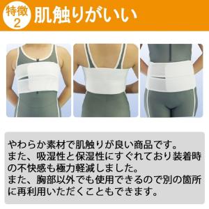 今日も当日発送 コルセット 腰痛サポートベルト...の詳細画像4