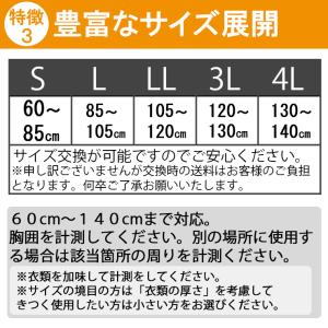 今日も当日発送 コルセット 腰痛サポートベルト...の詳細画像5