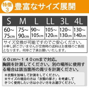 コルセット 胸部 サポーター ライトバンド ハ...の詳細画像4