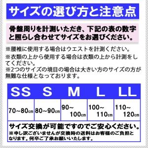 今日も当日発送 骨盤ベルト コルセット 腰痛サ...の詳細画像5