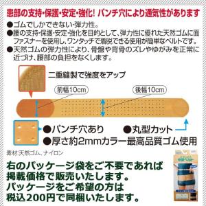 今日も当日発送 骨盤ベルト コルセット 腰痛サ...の詳細画像3