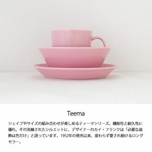 イッタラ ティーマ マグ 0.3L ローズ 1...の詳細画像2