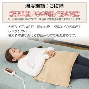 【即日発送】温熱治療器 背中 腰 お腹を温める...の詳細画像4