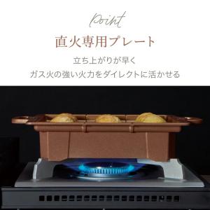 アピックス 感動!たこ焼きマイスター プレート...の詳細画像2