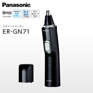 ポケットドルツ パナソニック 音波振動ハブラシ Doltzドルツ EW-DM74