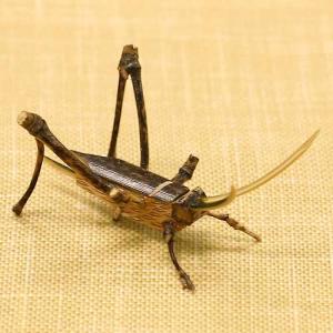 駿河竹千筋細工 竹の昆虫・まつむし 静岡県伝統工芸品 久保田正嘉 作