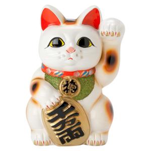 iittala（イッタラ） 常滑焼 招き猫 7号小判白猫貯金箱 左手上げ (143
