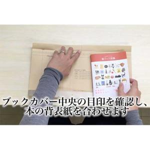 和詩倶楽部 ホンノムシ 吉兆書包み 古銭 ブッ...の詳細画像4