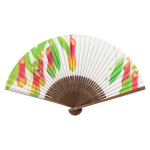 和詩倶楽部 進撃扇 靫葛 ウツボカズラ 扇子 七寸五分 和紙 手張り 男性用 和柄 日本製