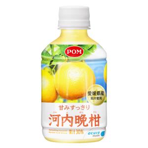 送料無料 甘みすっきり 河内晩柑 280ml 24本入 | 愛媛県産 柑橘 夏文旦 グレープフルーツ ドリンク ギフト ペットボトル 飲み物 贈り物 内祝い