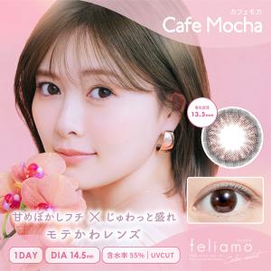 フェリアモ feliamo 1day ワンデー...の詳細画像5