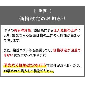 J-tech Medical アクティベーター...の詳細画像1