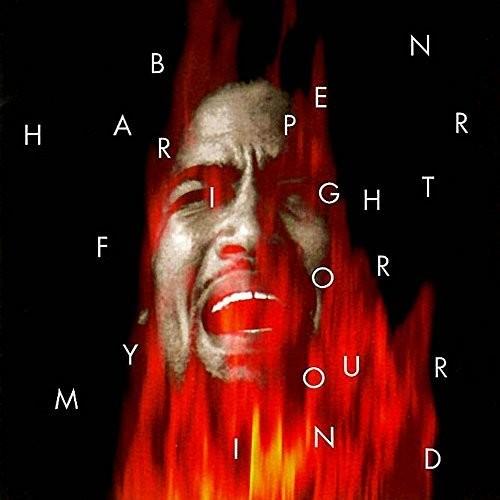 ベンハーパー Ben Harper - Fight for Your Mind LP レコード 輸入...