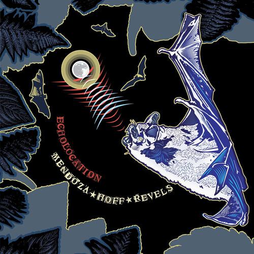 Ava Mendoza ＆ Devin Hoff Revels - Echolocation LP ...