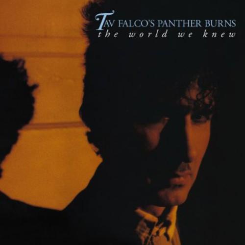 Tav Falco / Panther Burns - The World We Knew CD ア...