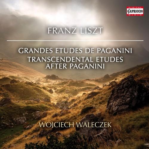 Liszt / Walaczek - Transcendental Etudes After Pag...