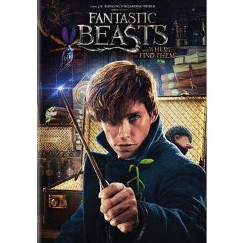 Fantastic Beasts and Where to Find Them DVD 輸入盤