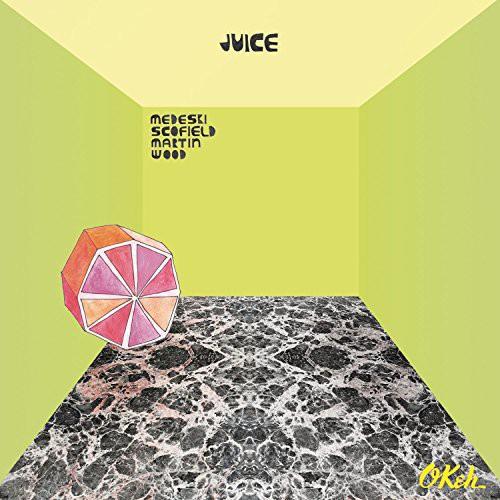 Madeski / Scofield / Martin / Wood - Juice CD アルバム...