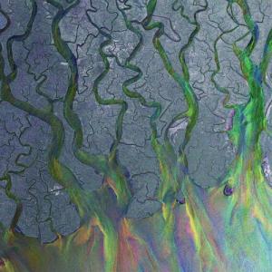 alt-J / Awesome Wave