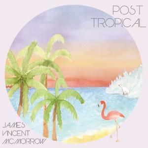 James Vincent McMorrow - Post Tropical LP レコード 輸入盤