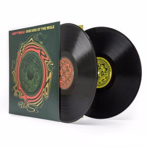 ガヴァメントミュール Gov't Mule - Dub Side Of The Mule LP レコード 輸入盤