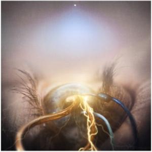 The Agonist - Eye of Providence CD アルバム 輸入盤