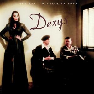 Dexys - One Day I'm Going To Soar LP レコード 輸入盤