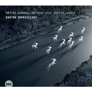 Szandai, Matyas / Levy, Mathias - Bartok Impressions CD アルバム 輸入盤