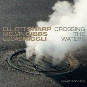 Lucas Niggli - Crossing the Waters CD アルバム 輸入盤