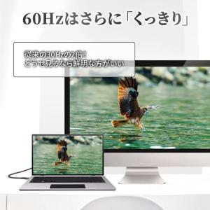 HDMIケーブル1m 2m iPhone Ty...の詳細画像1