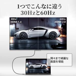 HDMIケーブル1m 2m iPhone Ty...の詳細画像2