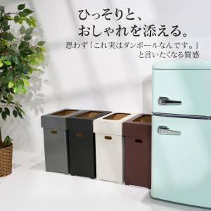 ゴミ箱 45リットル 3個セット おしゃれ 分...の詳細画像4