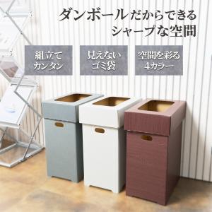 ゴミ箱 45リットル 3個セット おしゃれ 分...の詳細画像2