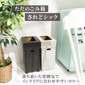 ゴミ箱 45リットル 3個セット おしゃれ 分...の詳細画像3