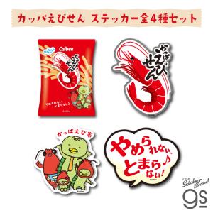 RADIALL（ラディアル） Rad's SCREEN PRINTED STICKER PACK ステッカー