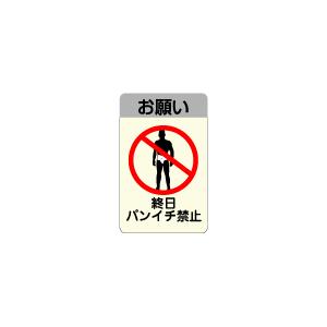 ステッカー NM319 PANICHI KINSHIの詳細画像1