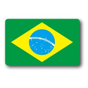 SK229 国旗ステッカー ブラジル BRAZIL 100円国旗 旅行 スーツケース 車 PC スマホ