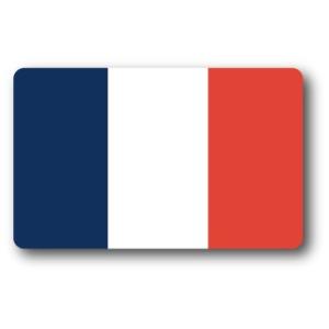 SK230 国旗ステッカー フランス FRANCE 100円国旗 旅行 スーツケース 車 PC スマホ