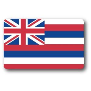 SK236 国旗ステッカー ハワイ HAWAII 100円国旗 旅行 スーツケース 車 PC スマホ｜we-love-sticker