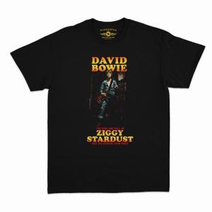 公式新品】DAVID BOWIE デヴィッドボウイ- ZIGGY STARDUST ALBUM COVER