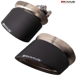 REMUS（レムス） テールパイプ単品 Φ102 アングル ストレートカット